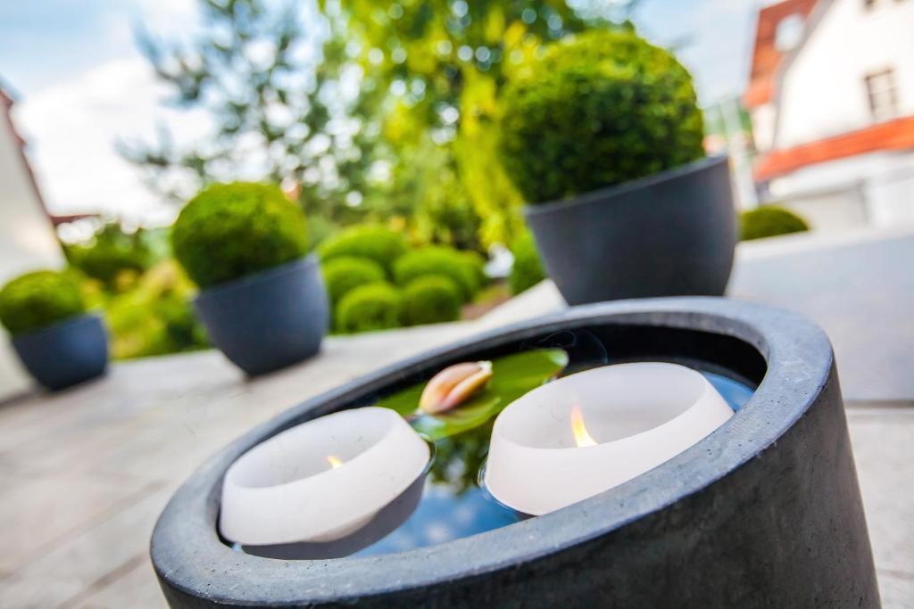 Boutique-Hotel Villa Anna Eisenach Eksteriør billede