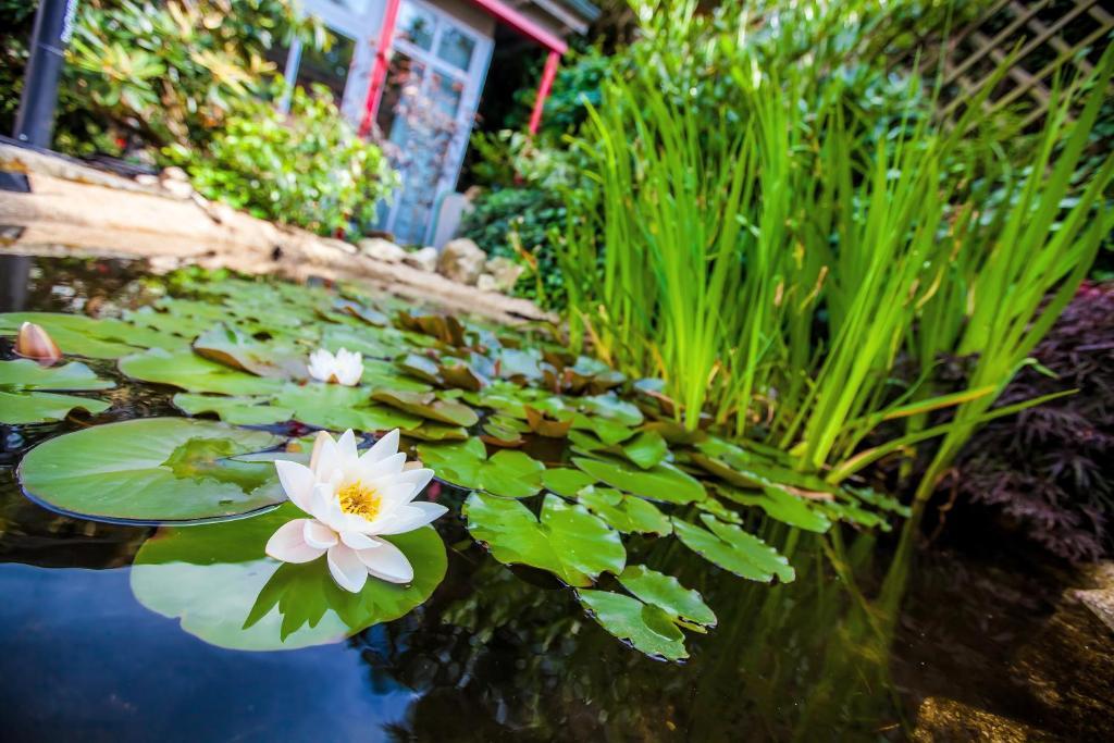 Boutique-Hotel Villa Anna Eisenach Eksteriør billede