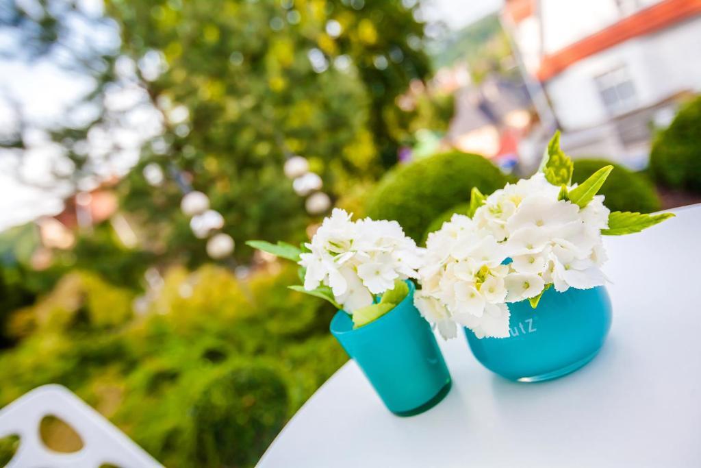 Boutique-Hotel Villa Anna Eisenach Eksteriør billede